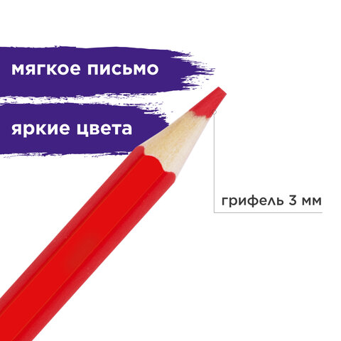 Карандаши цветные акварельные BRAUBERG "АКАДЕМИЯ", 24 цвета, шестигранные, грифель 3 мм, натуральное дерево, 181400